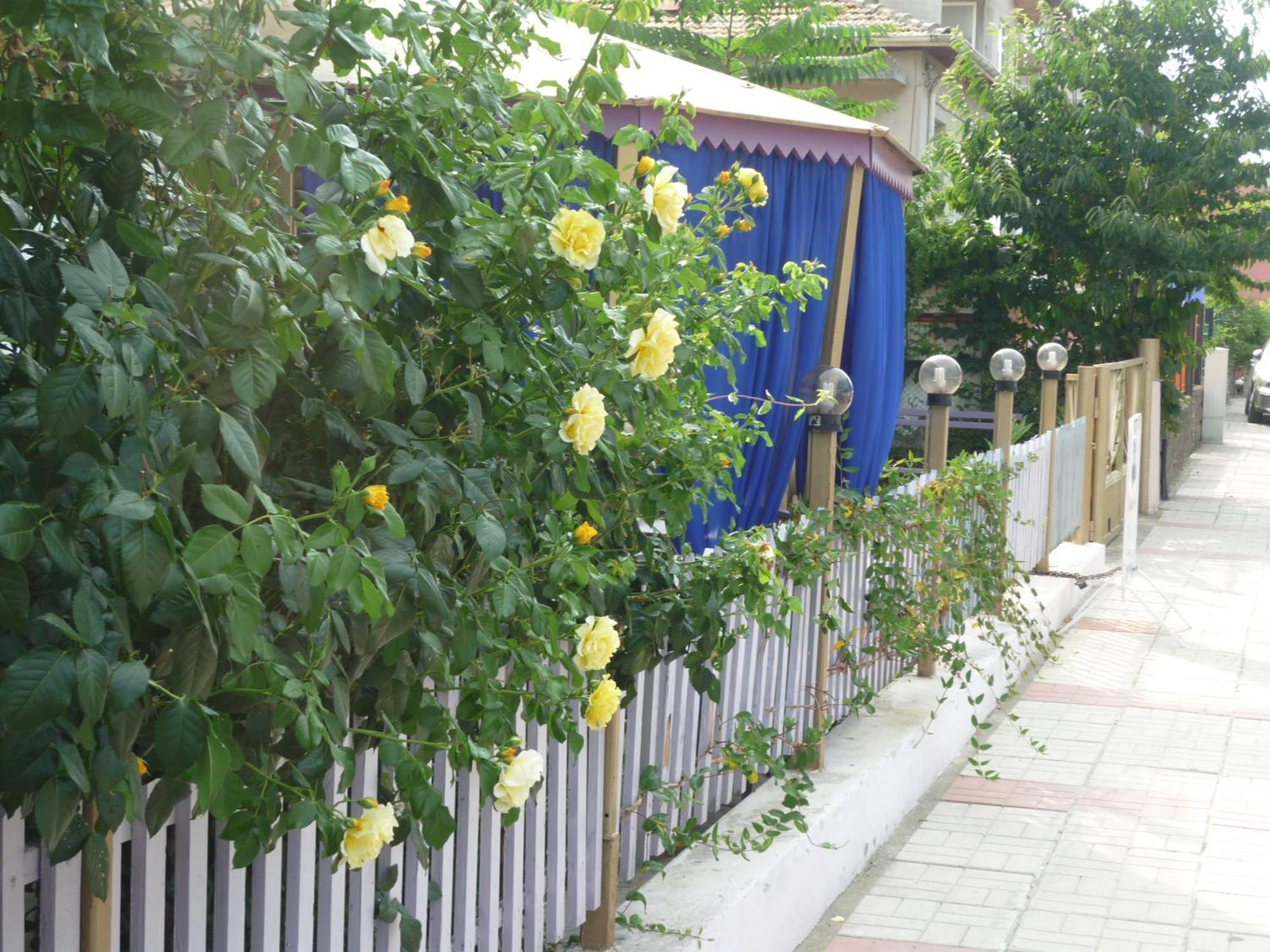 Hotel Strajica Lozenets Ngoại thất bức ảnh